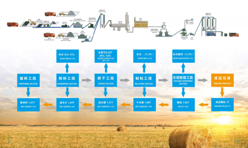 海星体育宣传册_13 - 副本.png